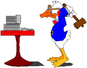 duck computer